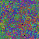 World at epoch 25000
