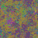 World at epoch 31000