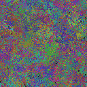 World at epoch 44000