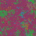 World at epoch 31000