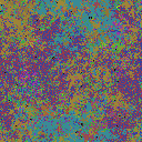 World at epoch 35000