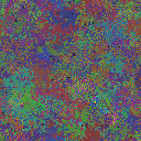 World at epoch 49000