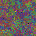 World at epoch 51000
