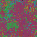 World at epoch 35000