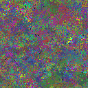 World at epoch 39000