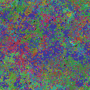 World at epoch 35000