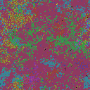 World at epoch 37000