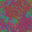 World at epoch 39000