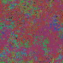 World at epoch 41000