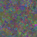 World at epoch 48000