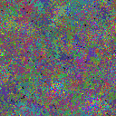 World at epoch 51000