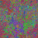 World at epoch 51000