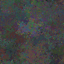 World at epoch 25000