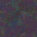 World at epoch 25000