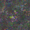 World at epoch 26000