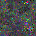 World at epoch 25000