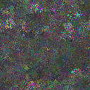 World at epoch 25000