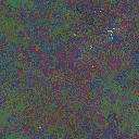 World at epoch 25000