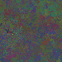 World at epoch 31000
