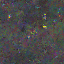 World at epoch 48000
