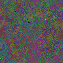 World at epoch 39000
