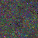 World at epoch 40000