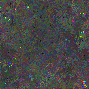World at epoch 49000