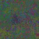 World at epoch 35000