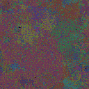 World at epoch 34000