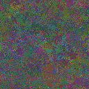 World at epoch 35000