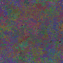 World at epoch 40000