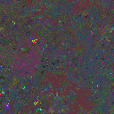 World at epoch 25000