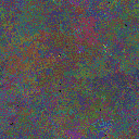 World at epoch 49000