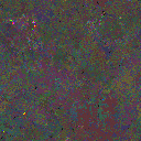 World at epoch 26000