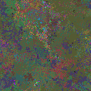 World at epoch 15000