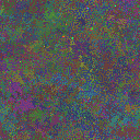 World at epoch 40000
