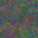 World at epoch 48000