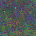World at epoch 49000
