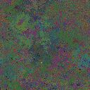World at epoch 49000