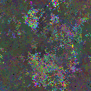 World at epoch 24000