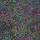 World at epoch 50000