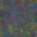 World at epoch 60000