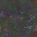 World at epoch 24000