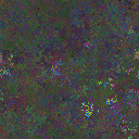 World at epoch 25000