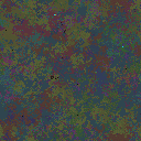 World at epoch 40000