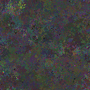 World at epoch 25000