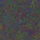 World at epoch 25000