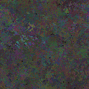 World at epoch 49000