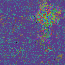 World at epoch 25000