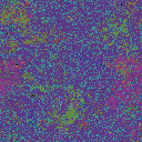 World at epoch 29000